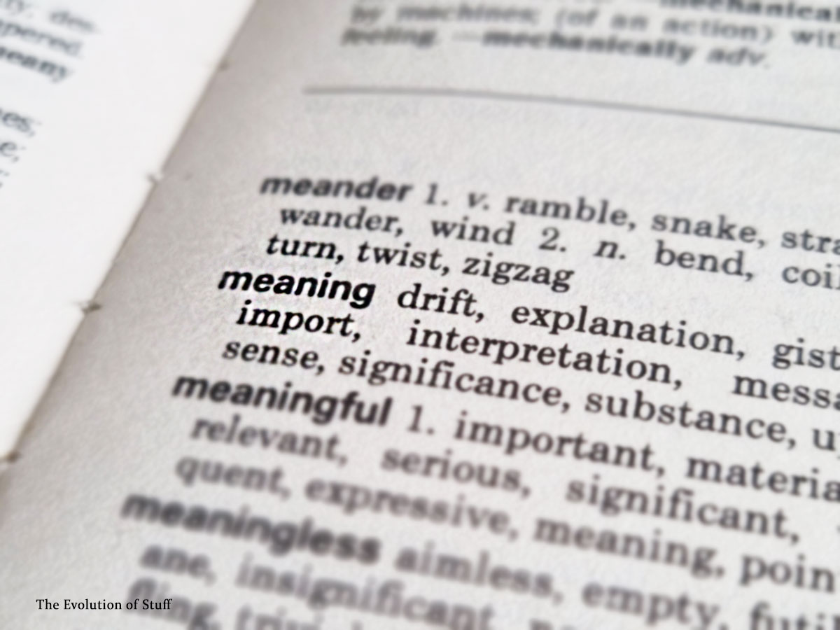 The Evolution of Meaning